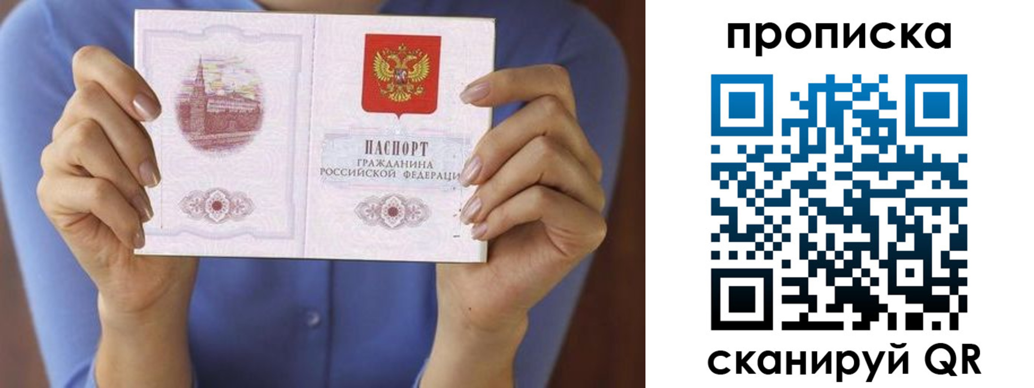 прописка паспорт в Новом Осколе